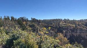 IMG_1927 2.jpg